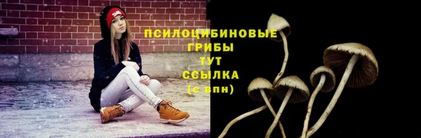 мяу мяу мука Покров