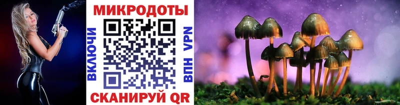 Псилоцибиновые грибы мицелий  Сургут 