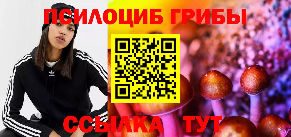 Сургут  Галлюциногенные грибы мицелий  Вход с VPN 