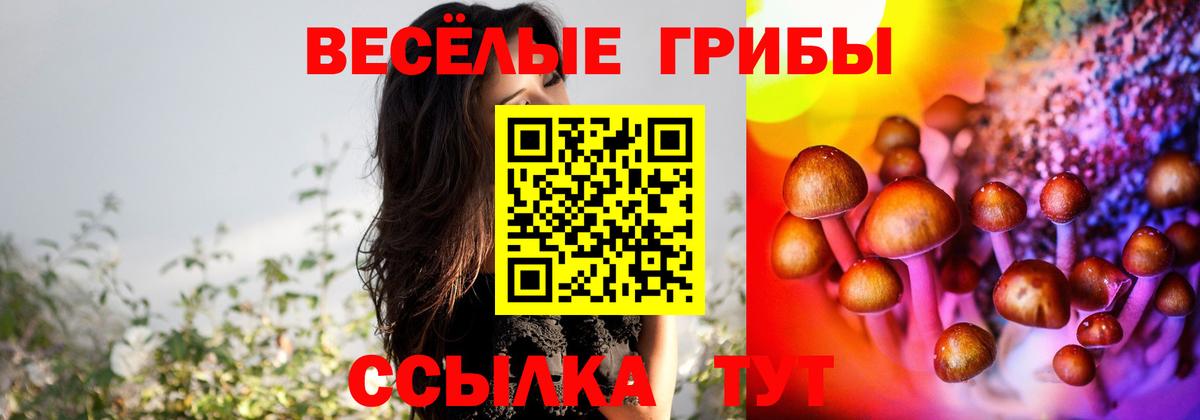 Псилоцибиновые грибы MAGIC MUSHROOMS  Сургут 